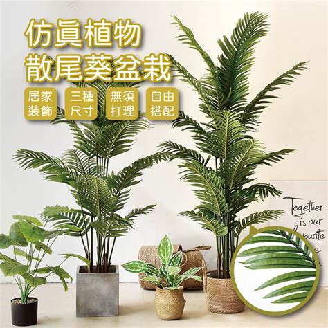 室內假植物|仿真植物｜優惠推